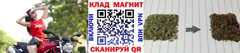 Купить наркотик аптеки Новоалександровск Гашиш  Псилоцибиновые грибы  Меф  COCAIN 
