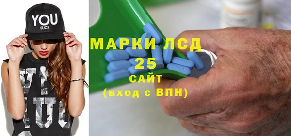прущие грибы Аркадак