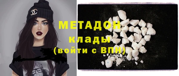 прущие грибы Аркадак