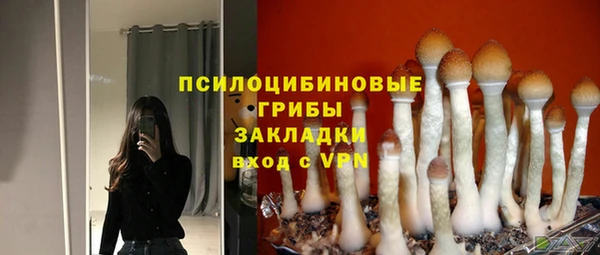 ALPHA PVP Арсеньев