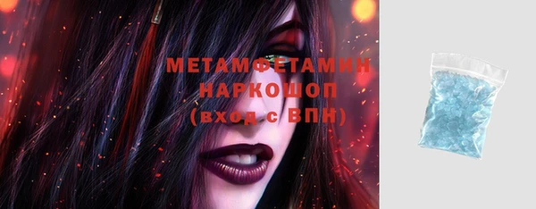 прущие грибы Аркадак