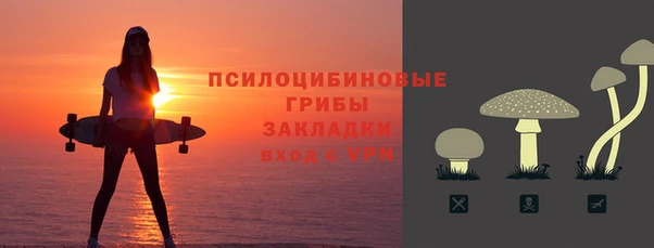 прущие грибы Аркадак