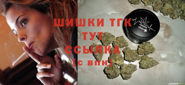 прущие грибы Аркадак