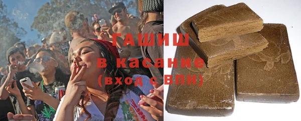 прущие грибы Аркадак