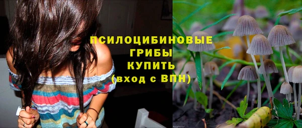 ешки Армянск