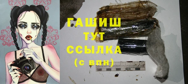 прущие грибы Аркадак