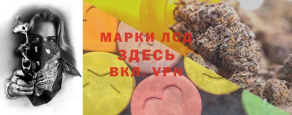 прущие грибы Аркадак
