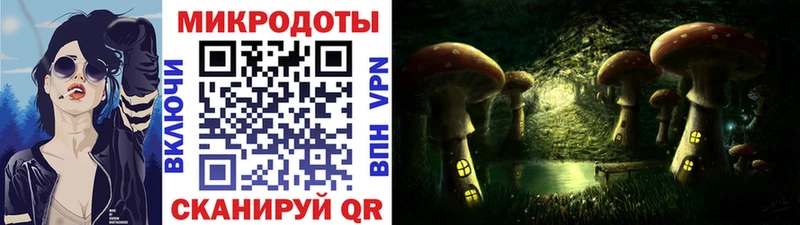 Псилоцибиновые грибы ЛСД  Новоалександровск 